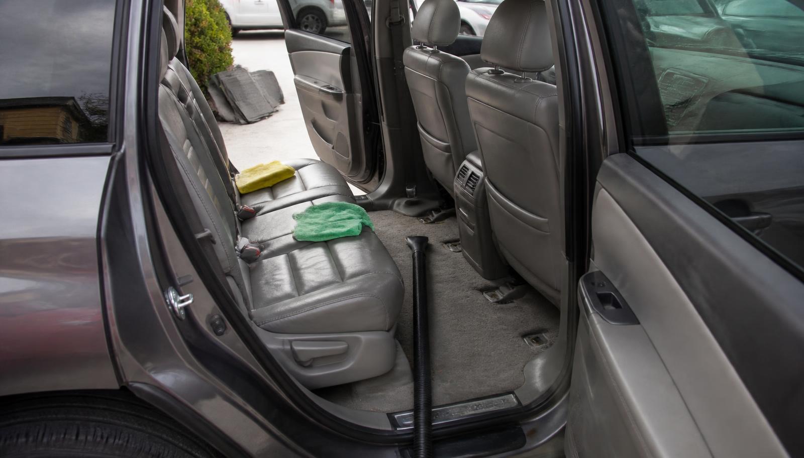 Rear seat and cargo carpet covered in embedded pet hair